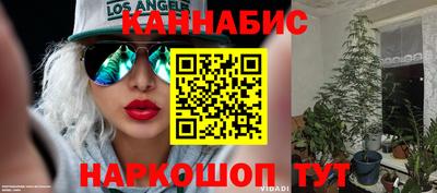 спиды Канаш