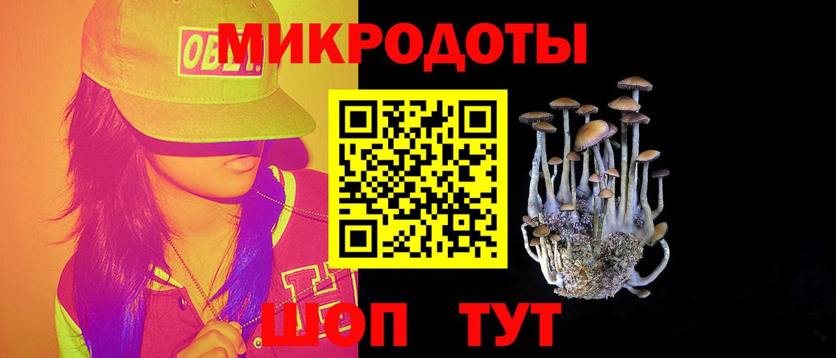 Евпатория  купить  цена  Вход с VPN  Галлюциногенные грибы Psilocybe  Псилоцибиновые грибы Psilocybine cubensis 